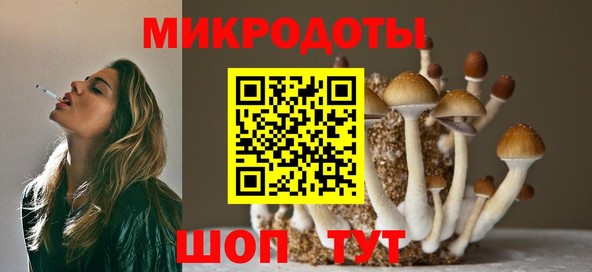 Псилоцибиновые грибы ЛСД Гусев