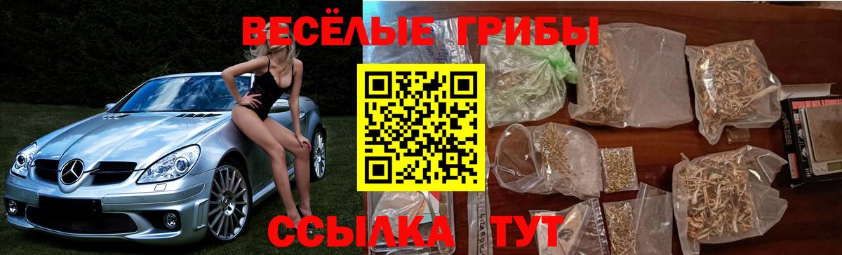 Галлюциногенные грибы мицелий  Вход с VPN  Гусев  Галлюциногенные грибы Psilocybine cubensis 